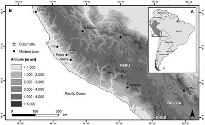 An integrative approach to ancient agricultural terraces and forms of dependency: the case of Cutamalla in the prehispanic Andes